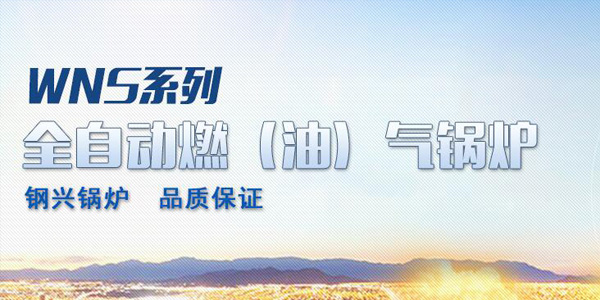 专业生产燃气锅炉设备